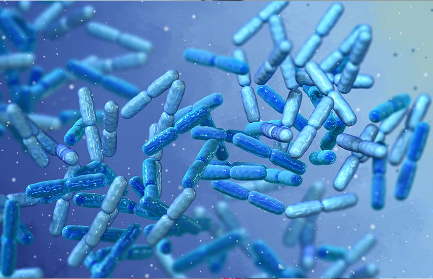 Multi Strain 60 Billion CFU Probiotic Complex‡ (154mg†)